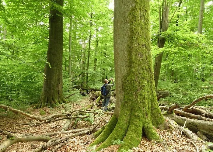 Garni Lindenhof Im Steigerwald Ξενοδοχείο Oberaurach